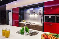 Red Lake kitchen extensions